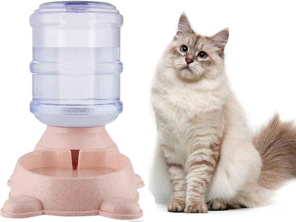 Water Dispenser For Cat